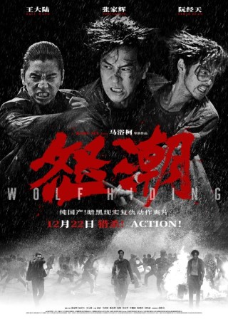 Wolf Hiding Poster